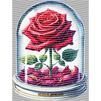 Valentine's Day-QRJ  2016